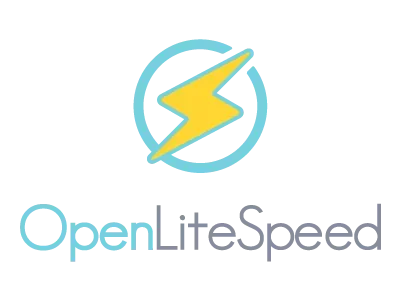 How to resolve OpenLiteSpeed’s No space left on device